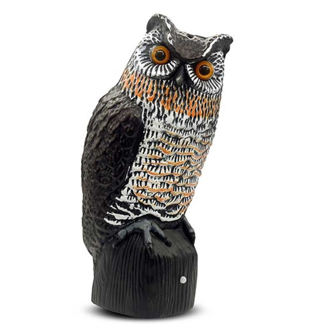 Hovedbilde Fugleskremsel Hubro